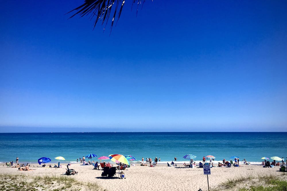 Photo of Others in Juno Beach