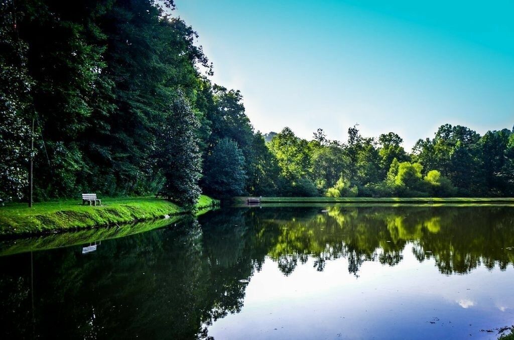 Photo of Outdoor in Ellijay