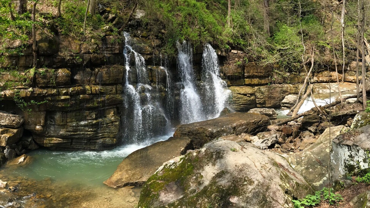 Photo of Others in Chattanooga