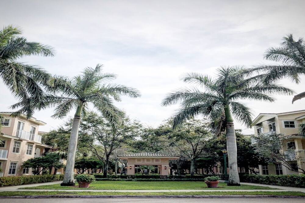 Photo of Outdoor in Town Center
