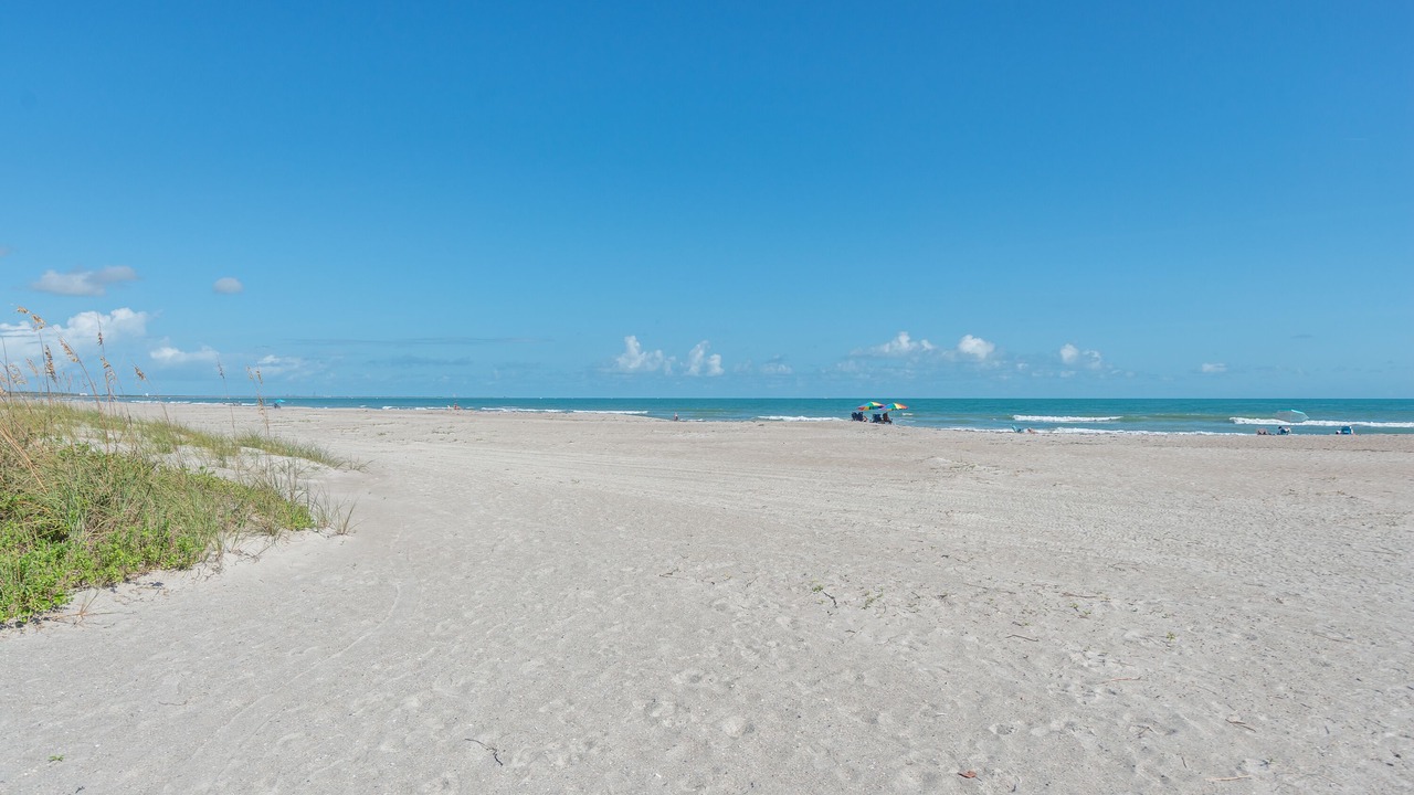 Photo of Others in Port Canaveral