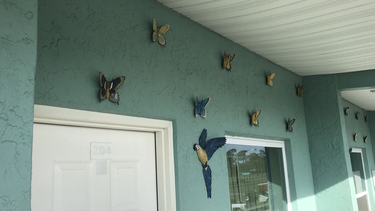 Photo of Outdoor in Immokalee