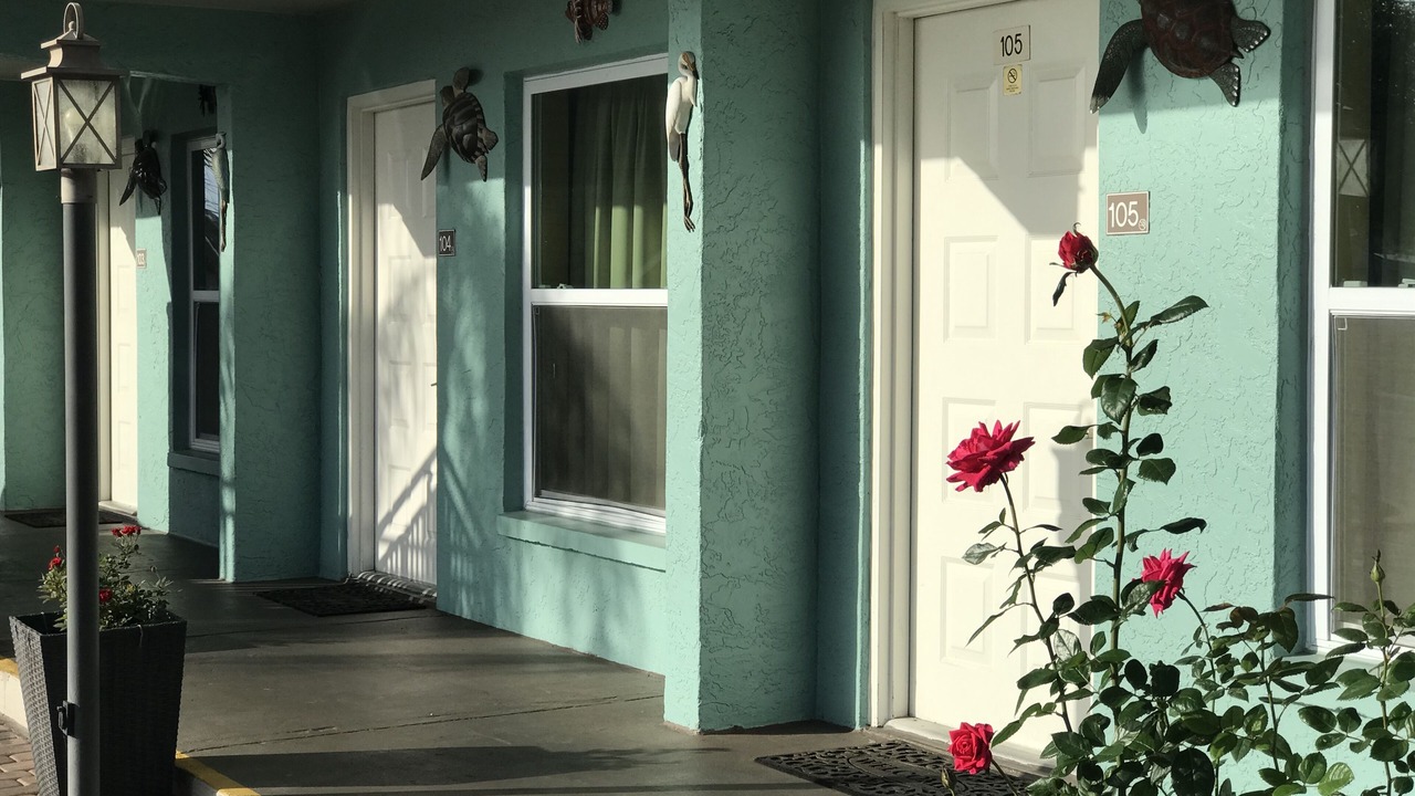 Photo of Outdoor in Immokalee