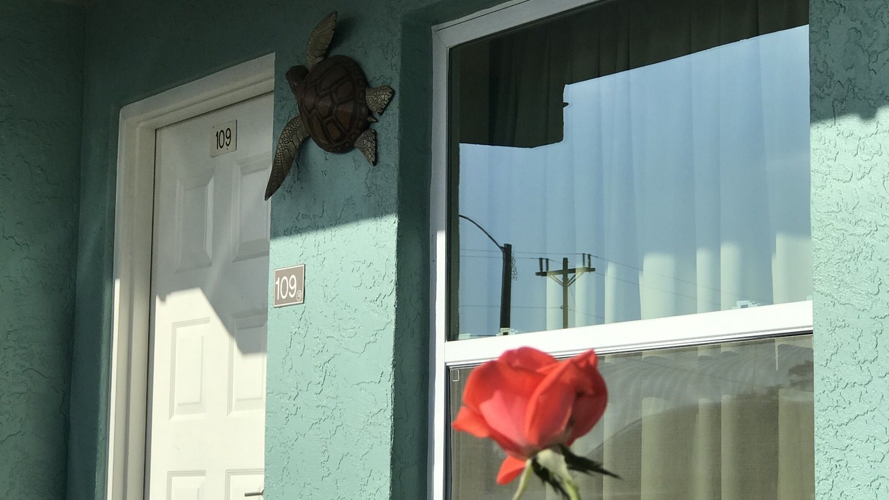 Photo of Outdoor in Immokalee
