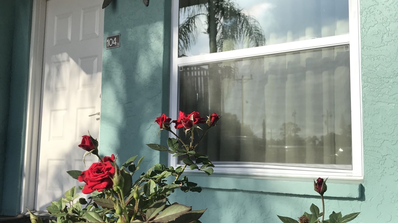Photo of Outdoor in Immokalee