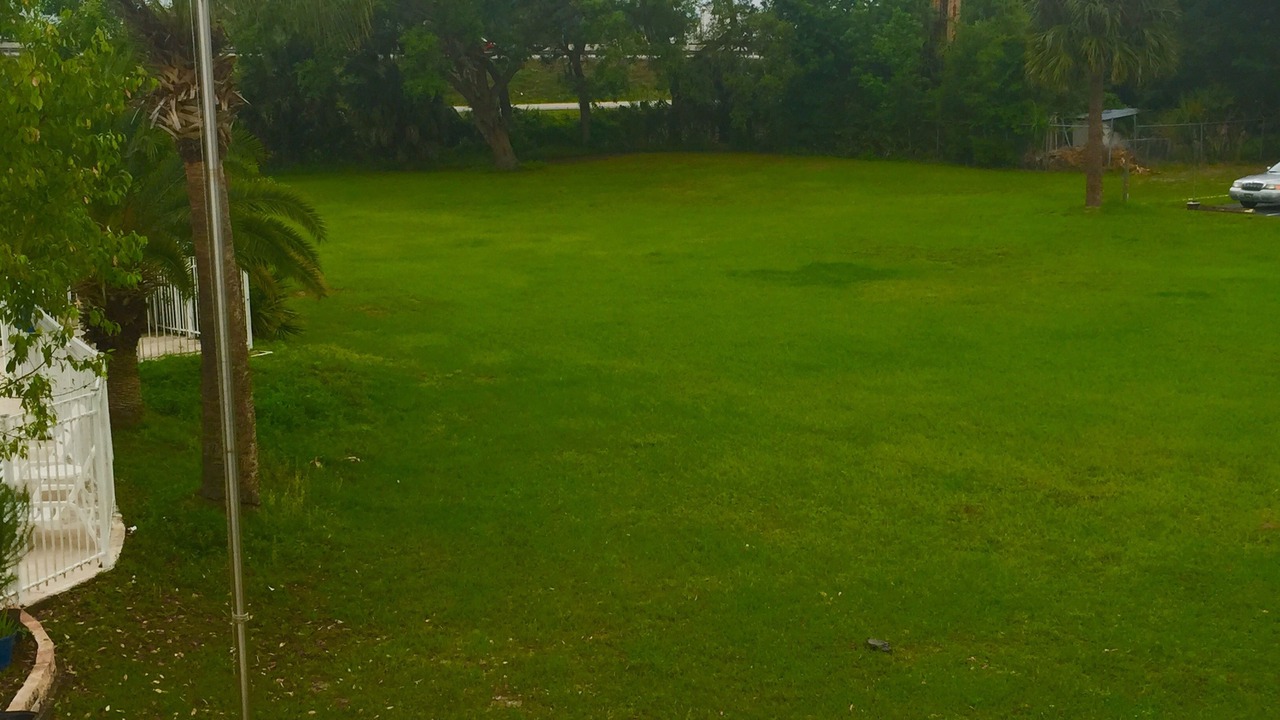 Photo of Outdoor in Bushnell