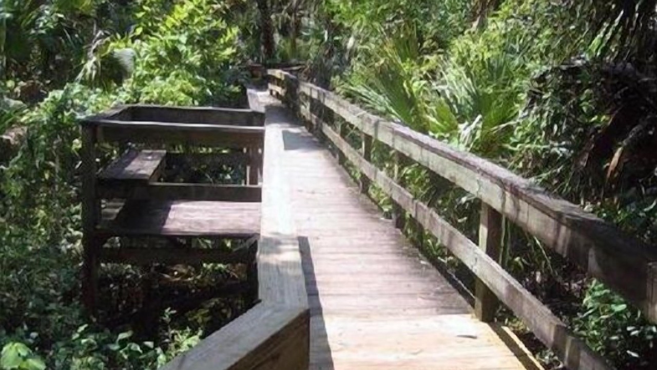 Photo of Outdoor in Mount Dora