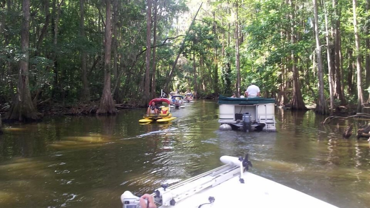 Photo of Others in Mount Dora