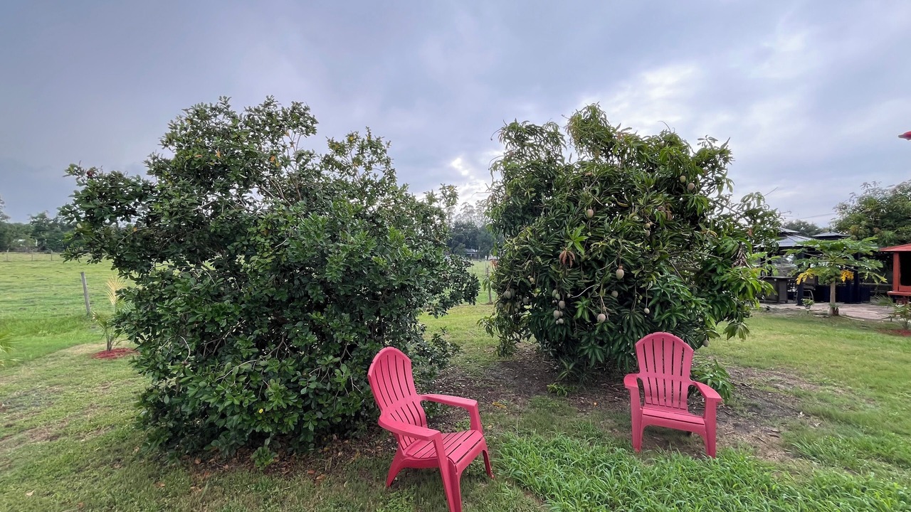 Photo of Outdoor in Winter Haven
