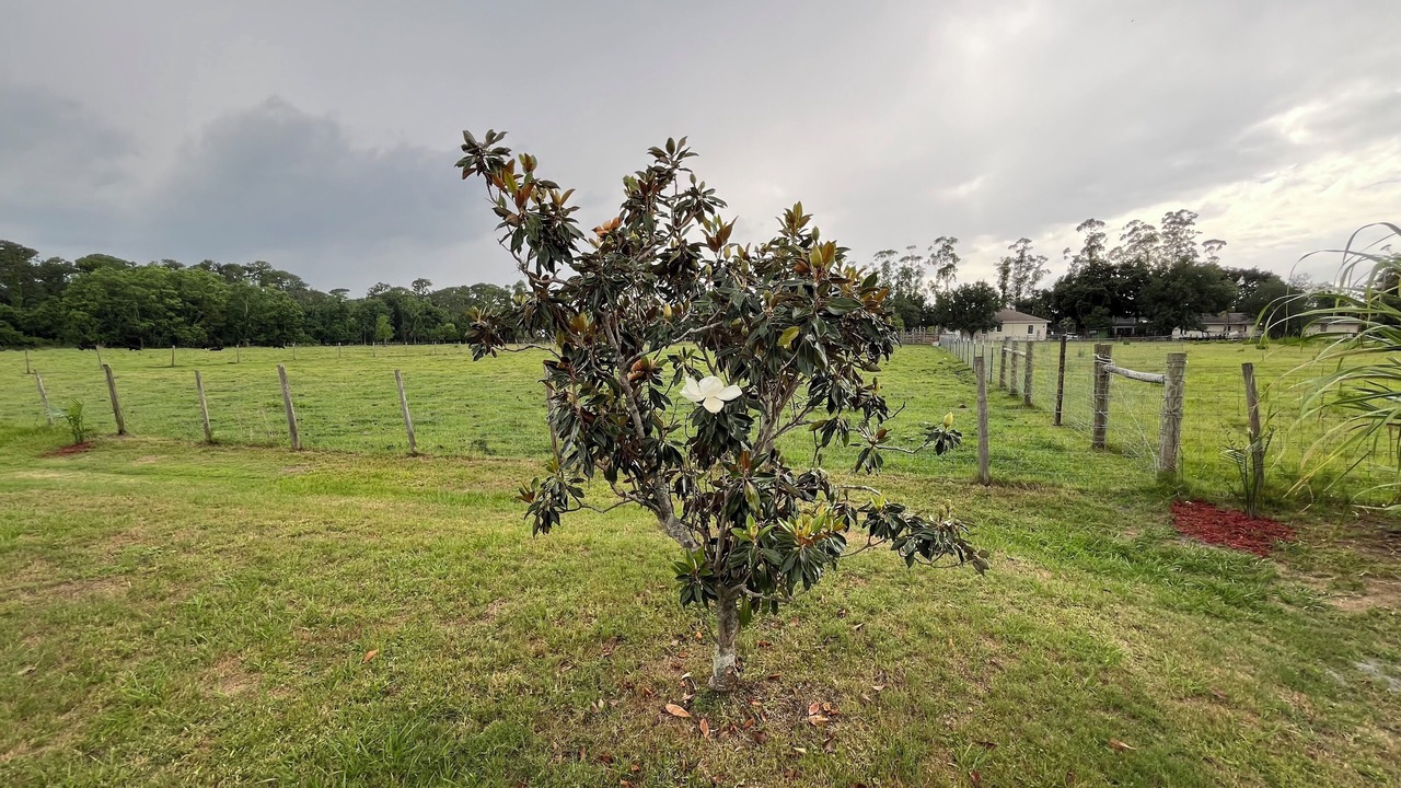 Photo of Outdoor in Winter Haven