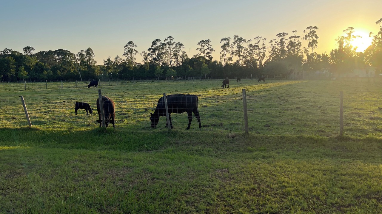 Photo of Outdoor in Winter Haven