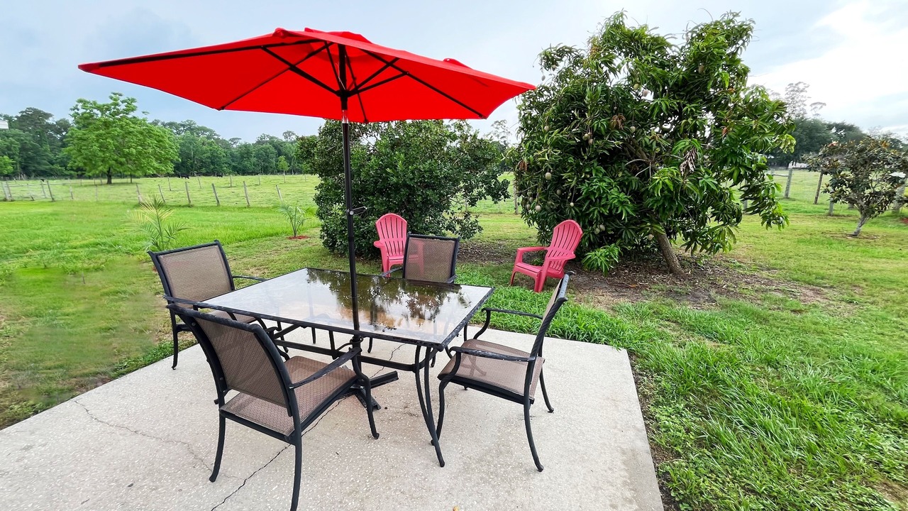 Photo of Outdoor in Winter Haven