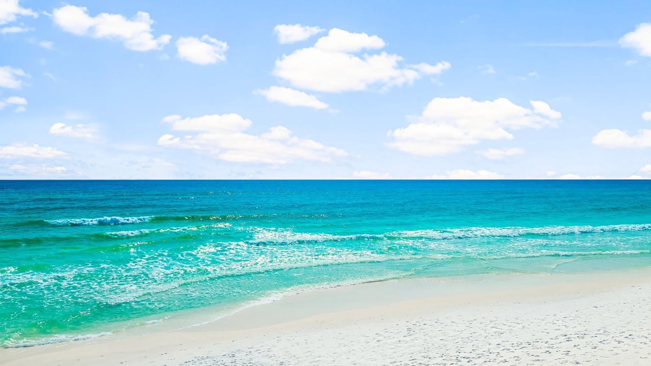 Photo of Others in Gulf Pines