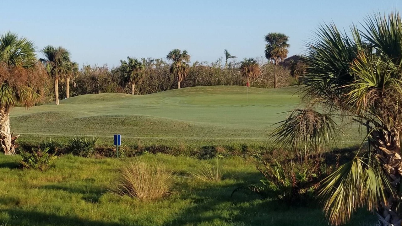 Photo of Others in Majestic Palms