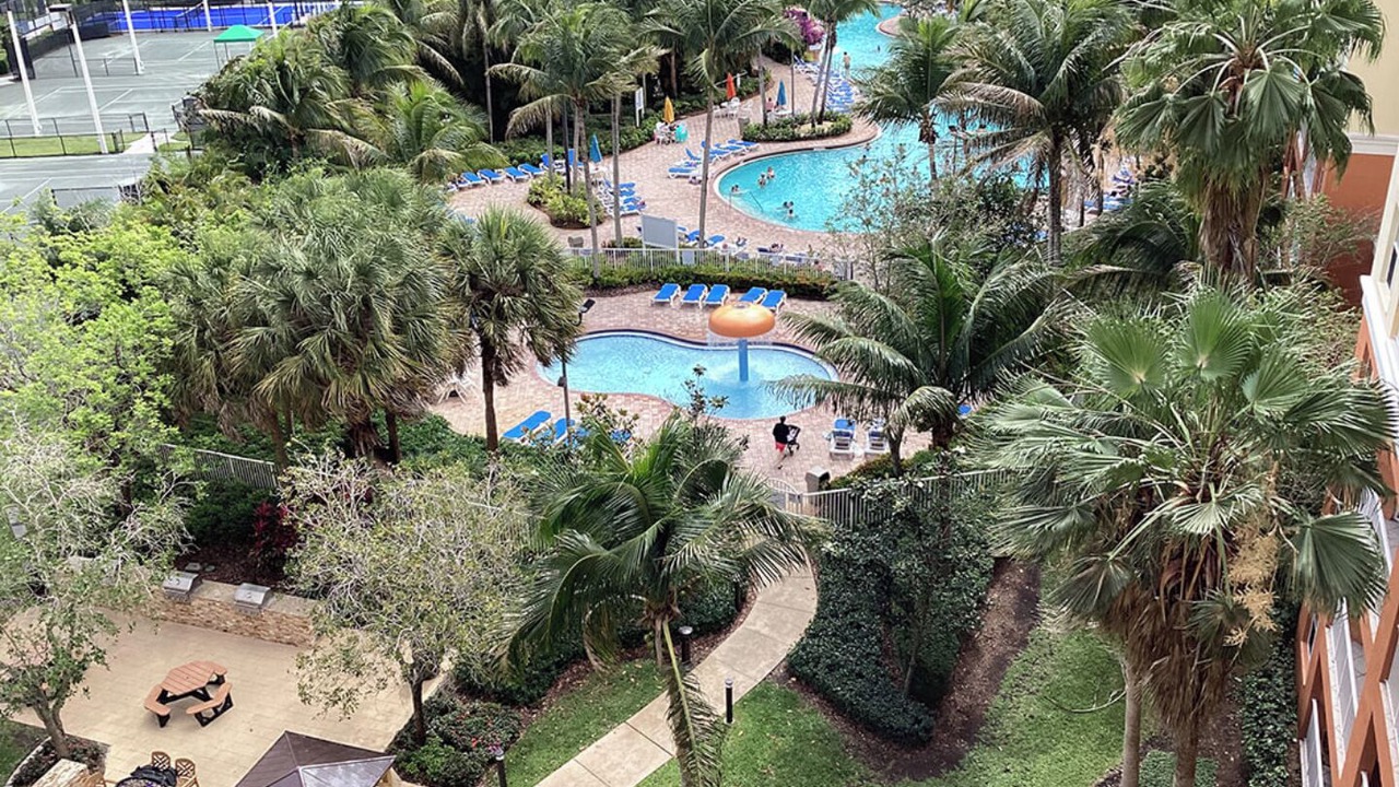 Photo of Outdoor in Weston