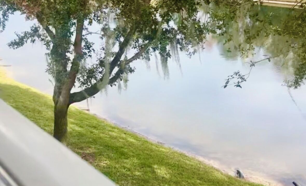 Photo of Outdoor in Baymeadows