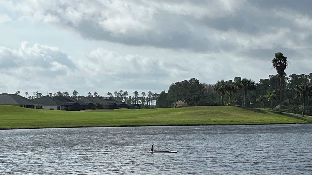 Photo of Others in New Smyrna Beach