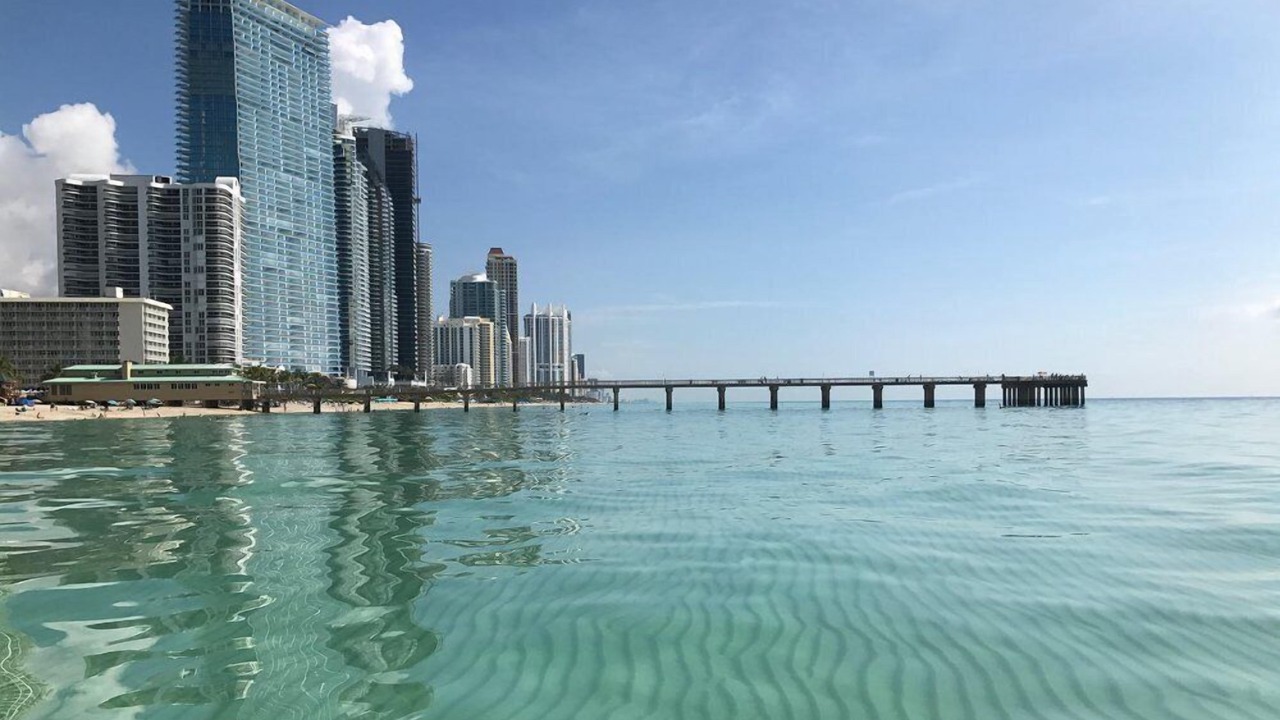 Photo of Others in North Miami Beach