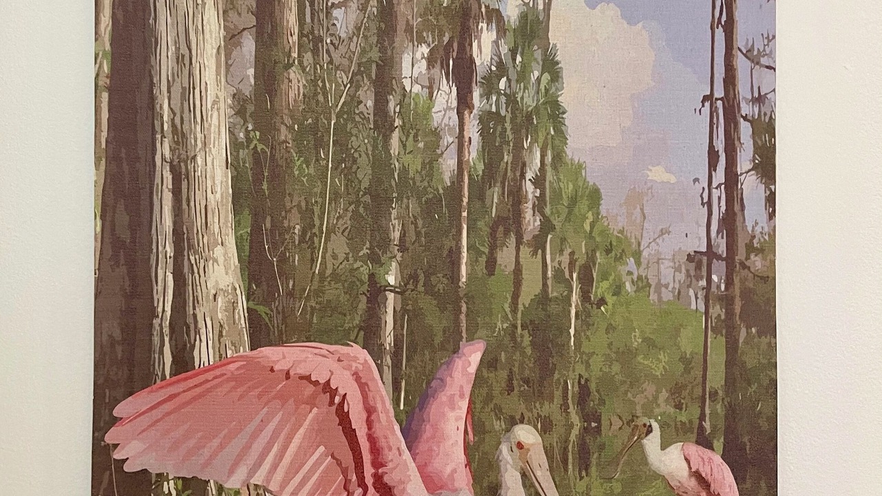 Photo of Others in Immokalee
