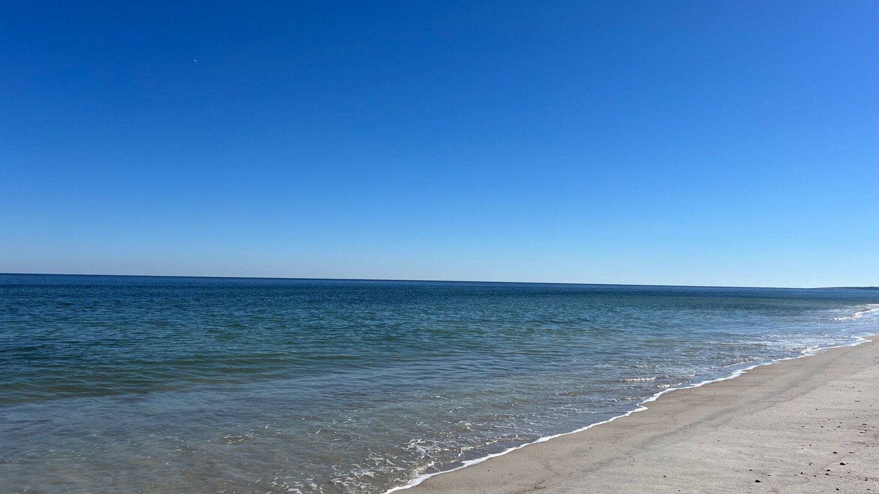 Photo of Others in Fernandina Beach