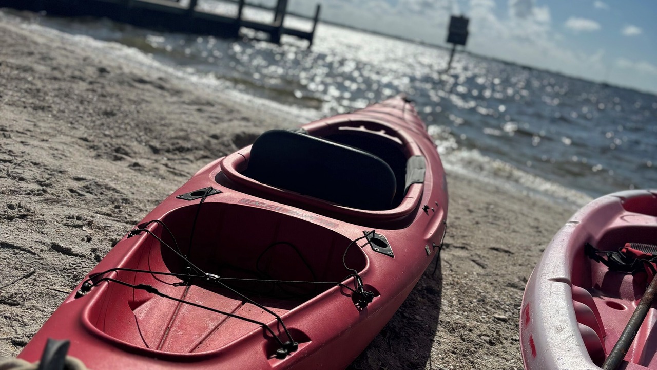 Photo of Others in Whitney Beach