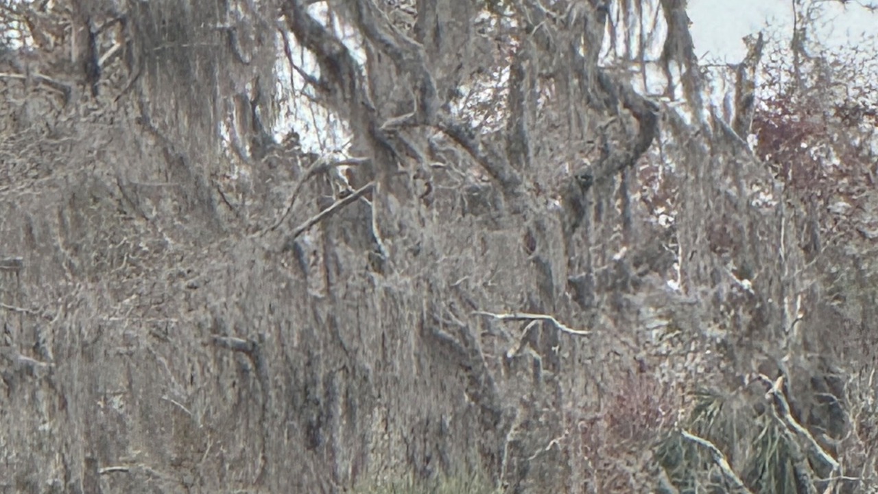 Photo of Others in Pierson