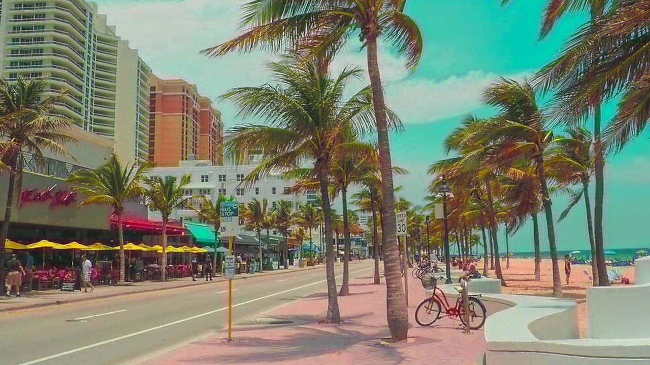 Photo of Others in Dania Beach