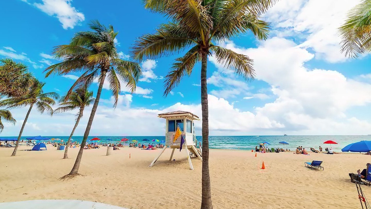 Photo of Others in Dania Beach