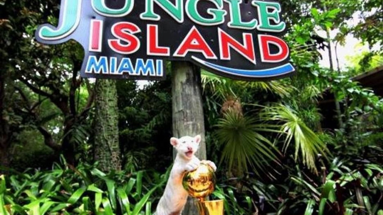 Photo of Others in Miami Gardens