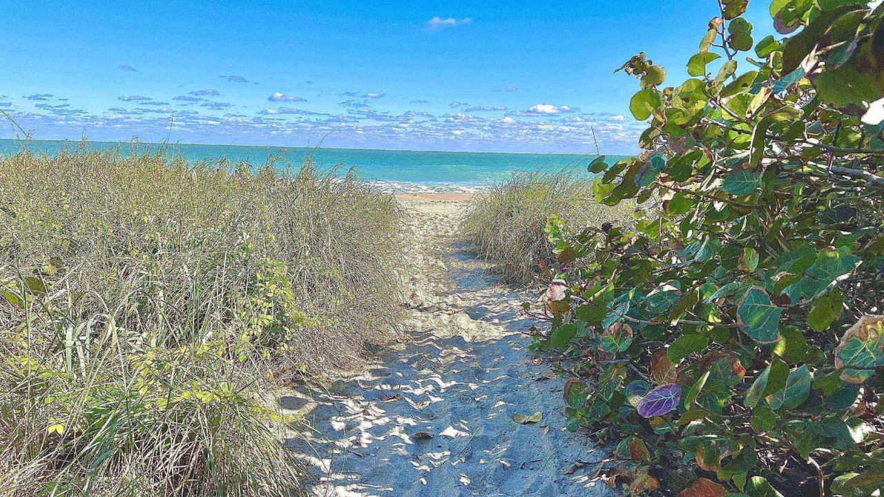 Photo of Others in Jensen Beach