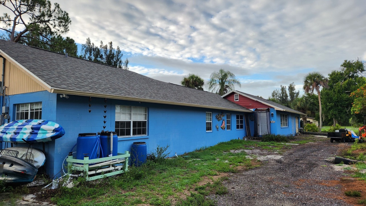 Photo of Outdoor in June Park