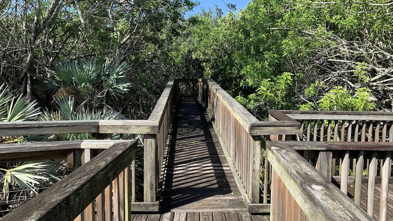 Photo of Others in New Smyrna Beach