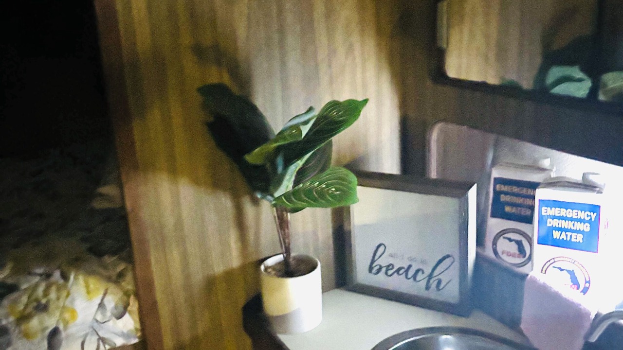 Photo of Bathroom in Whitney Beach