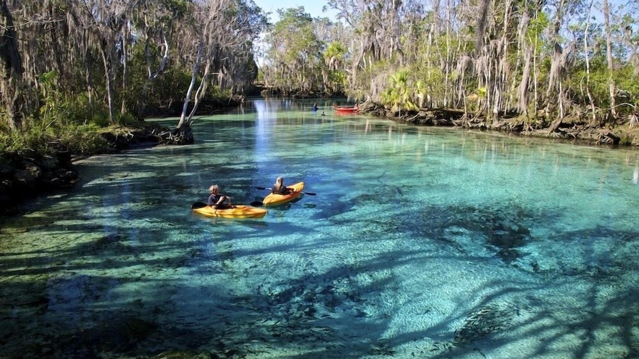 Photo of Others in Springs at Kings Bay