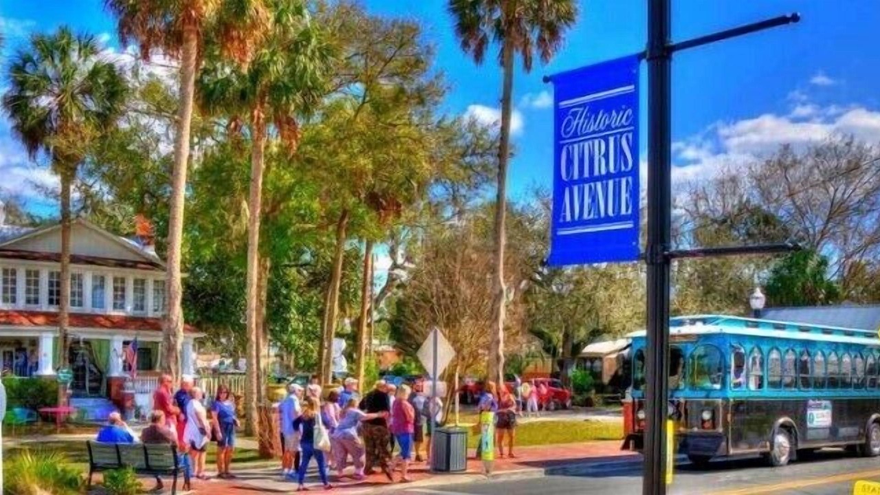 Photo of Others in Springs at Kings Bay