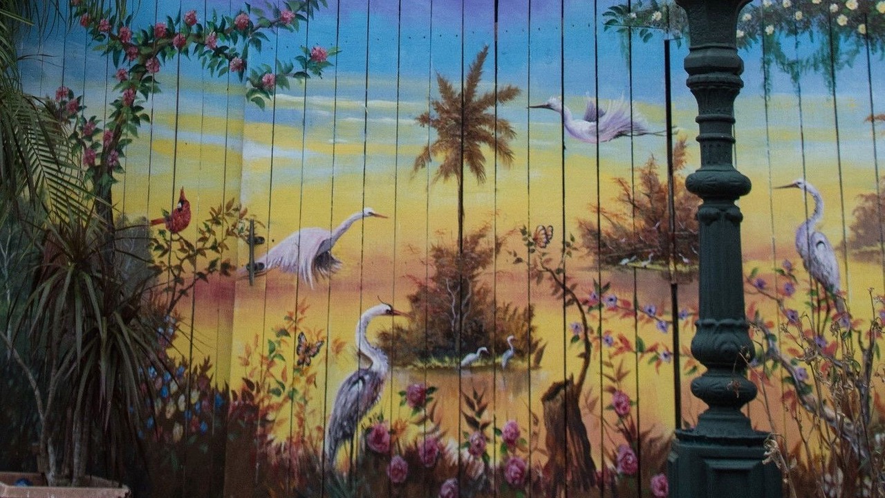 Photo of Outdoor in Titusville