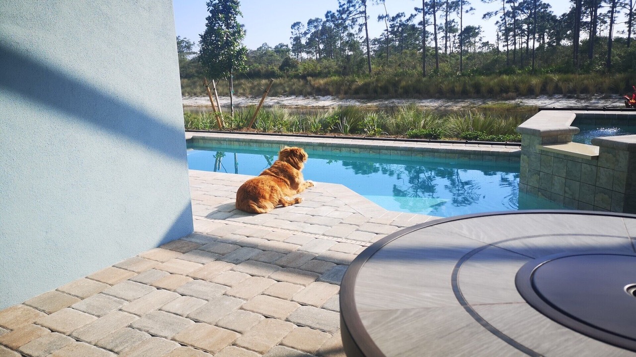 Photo of Outdoor in Lely Golf Estates