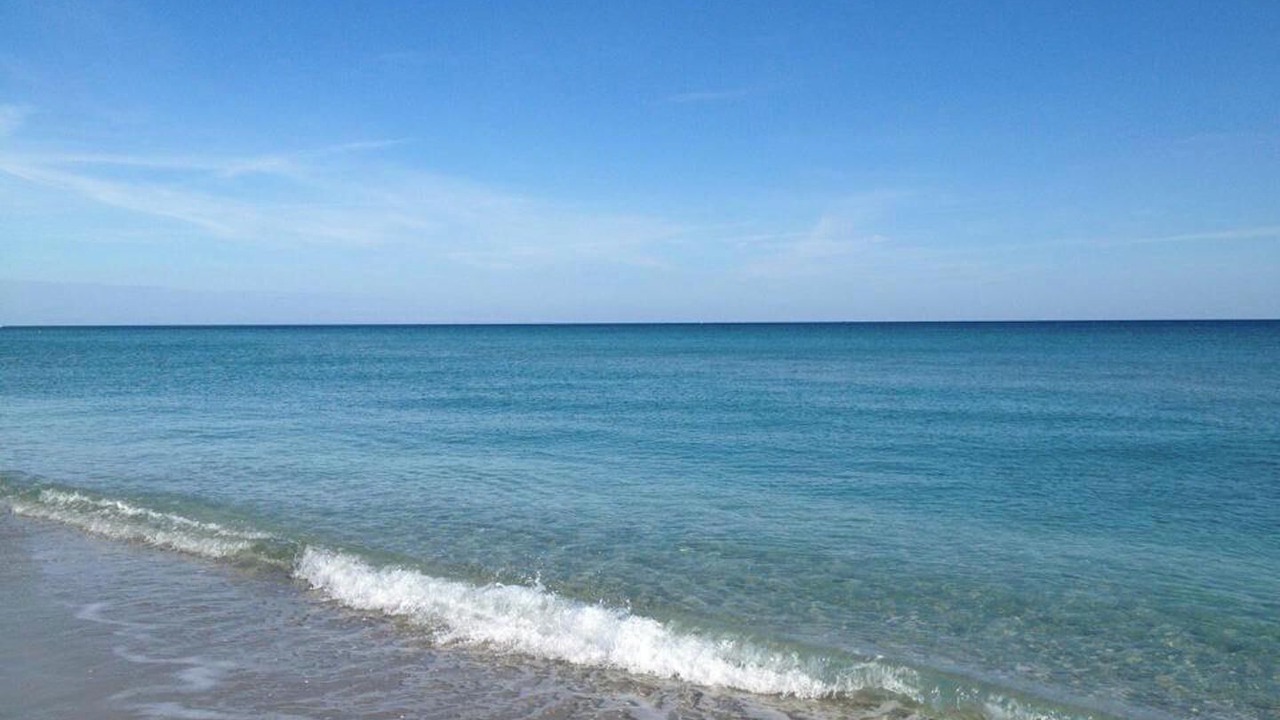 Photo of Others in Boca Raton