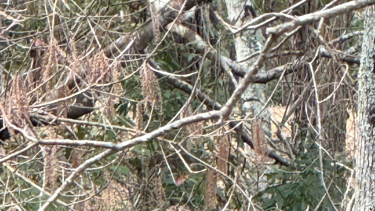 Photo of Outdoor in Russellville