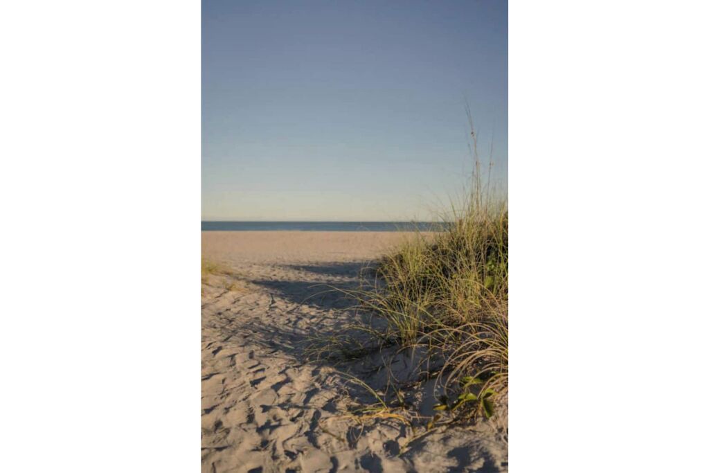 Photo of Others in Port Canaveral