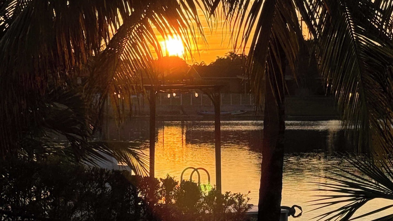 Photo of Outdoor in South Miami