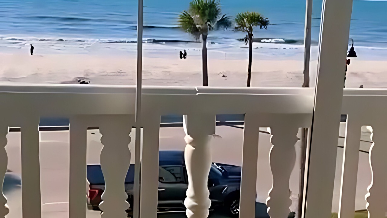 Photo of Outdoor in Pass-a-Grille