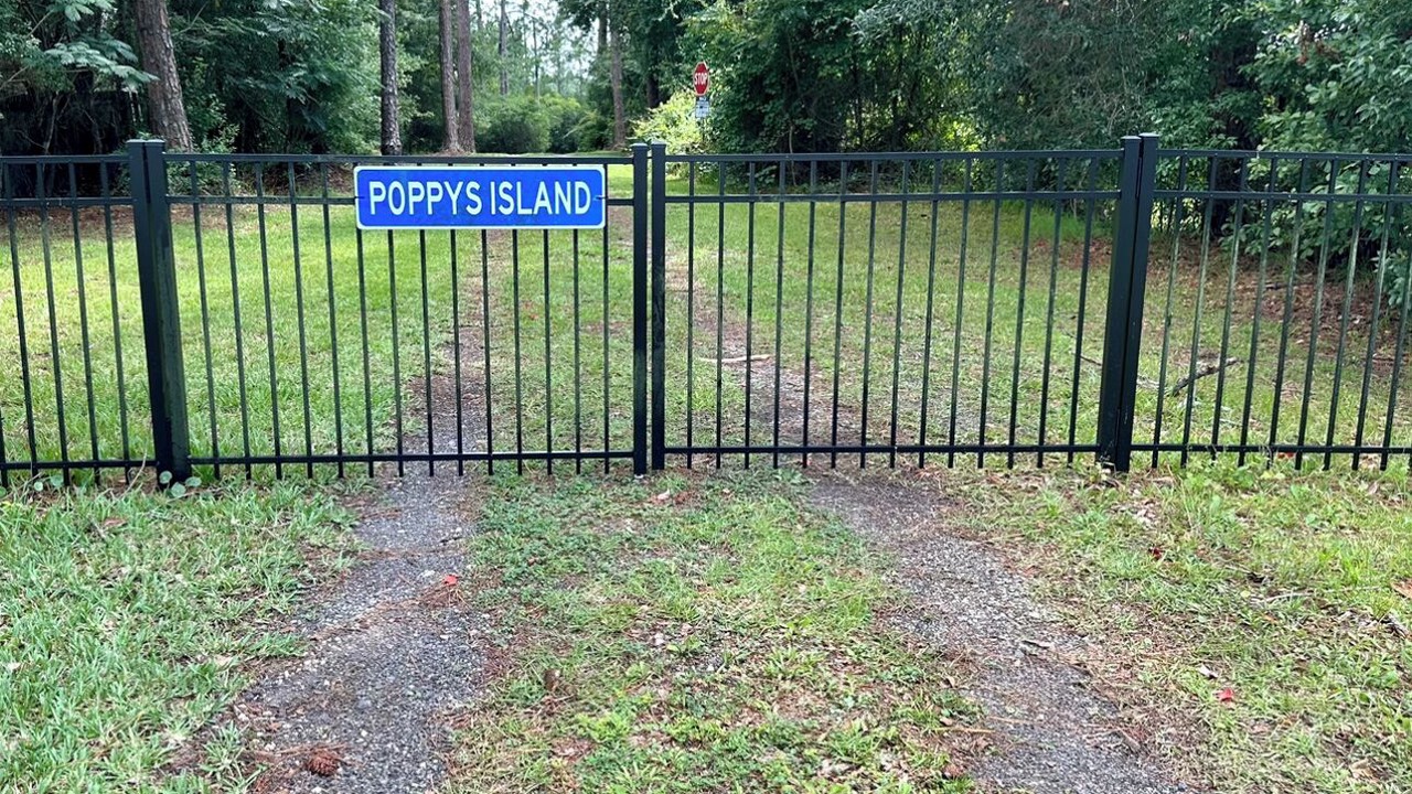 Photo of Outdoor in Yulee
