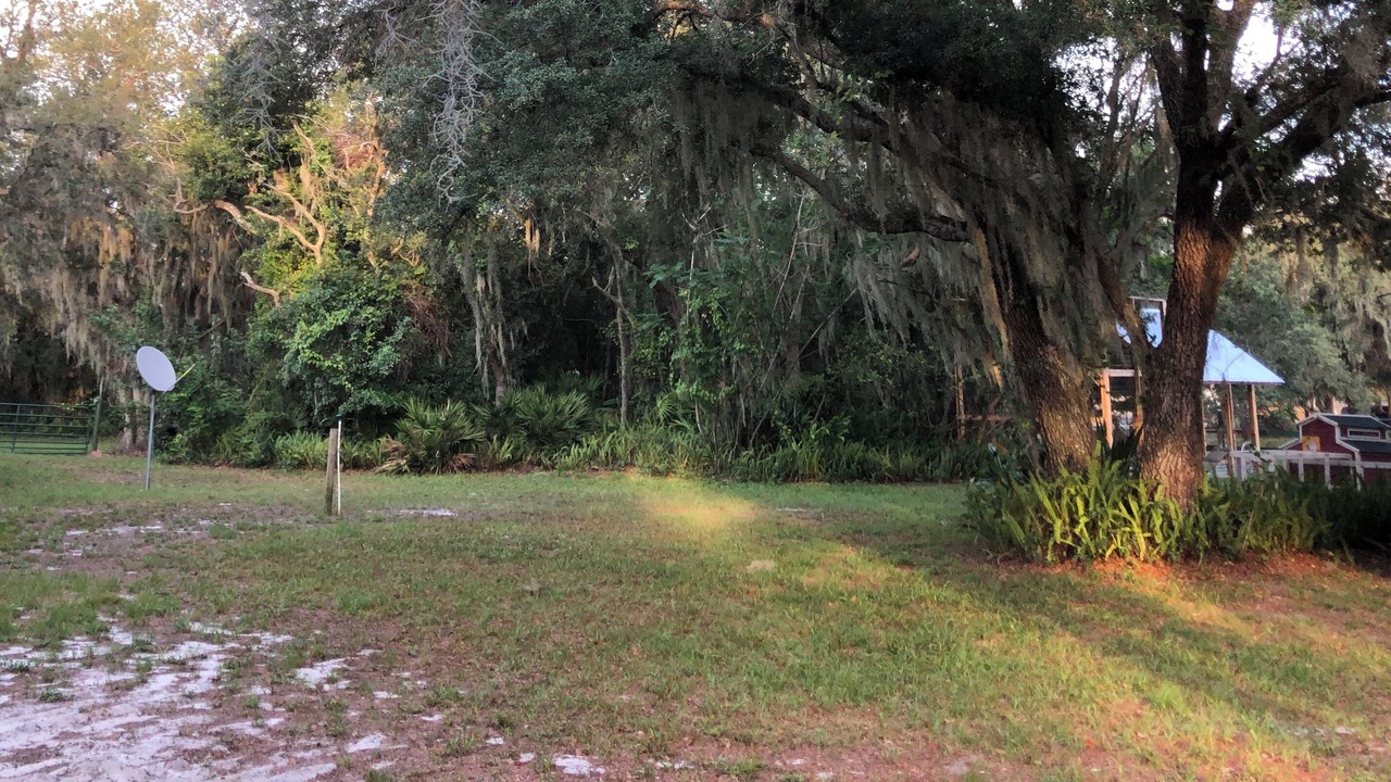 Photo of Outdoor in Lakeland - Winter Haven