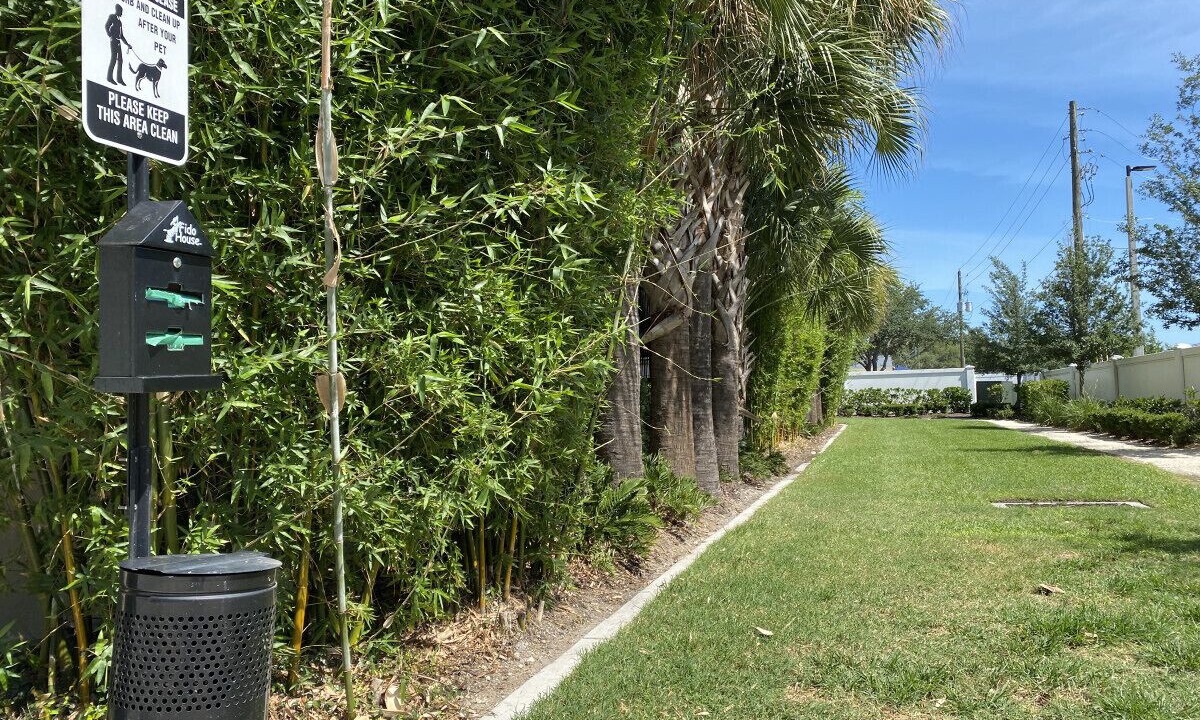 Photo of Outdoor in Carver City - Lincoln Gardens