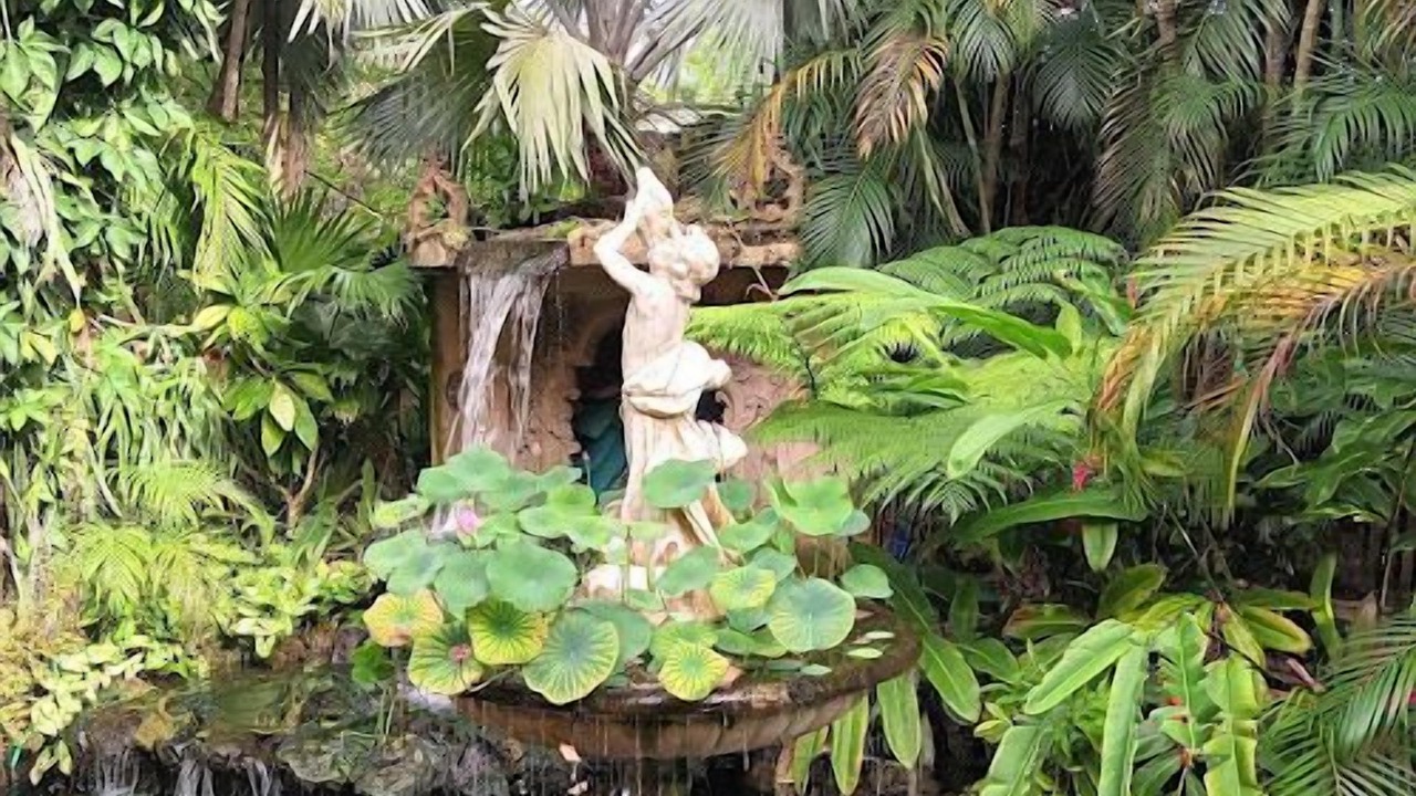 Photo of Outdoor in Northwood Shores