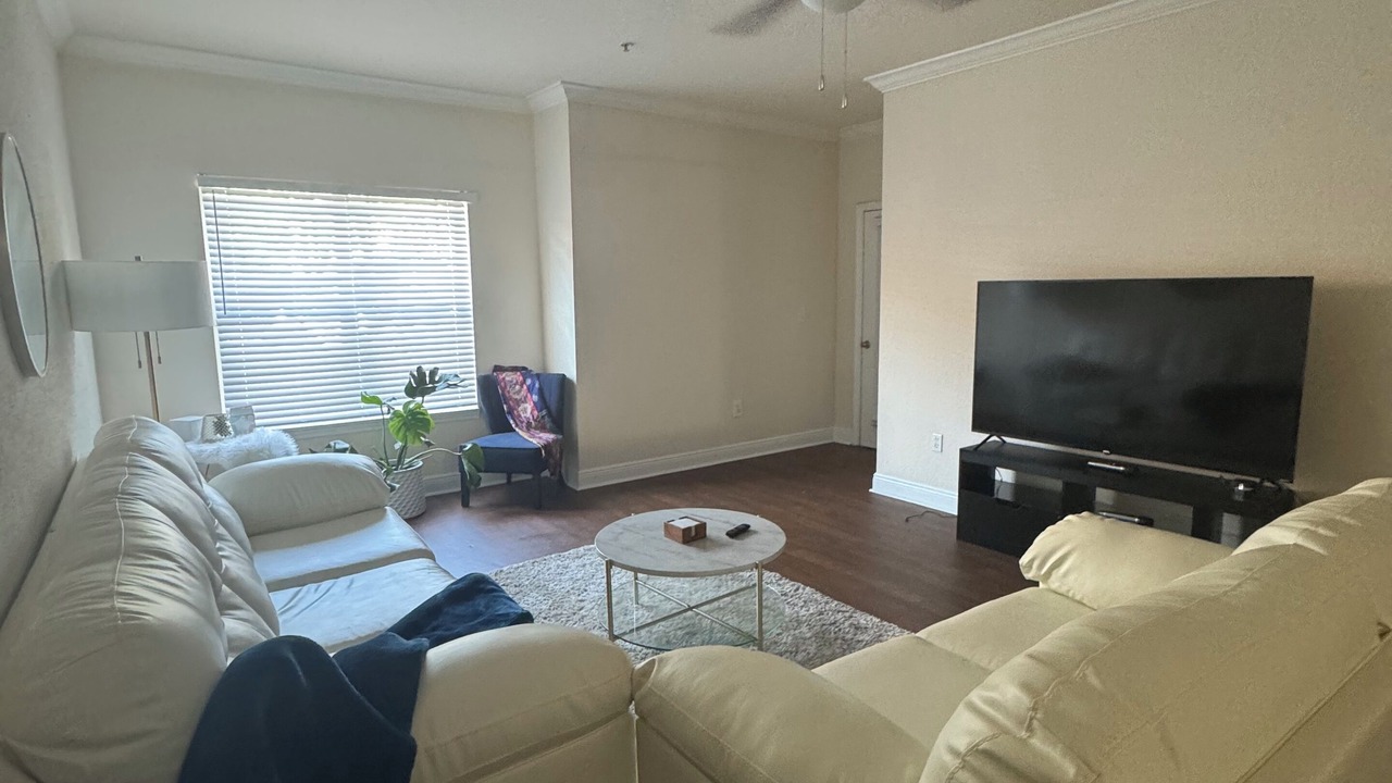 Photo of Livingroom in New Tampa
