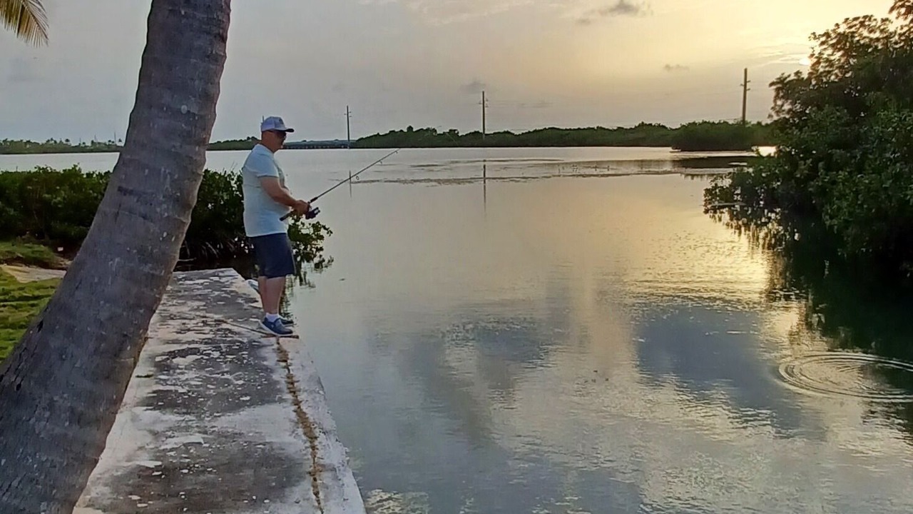Photo of Others in Bay Point