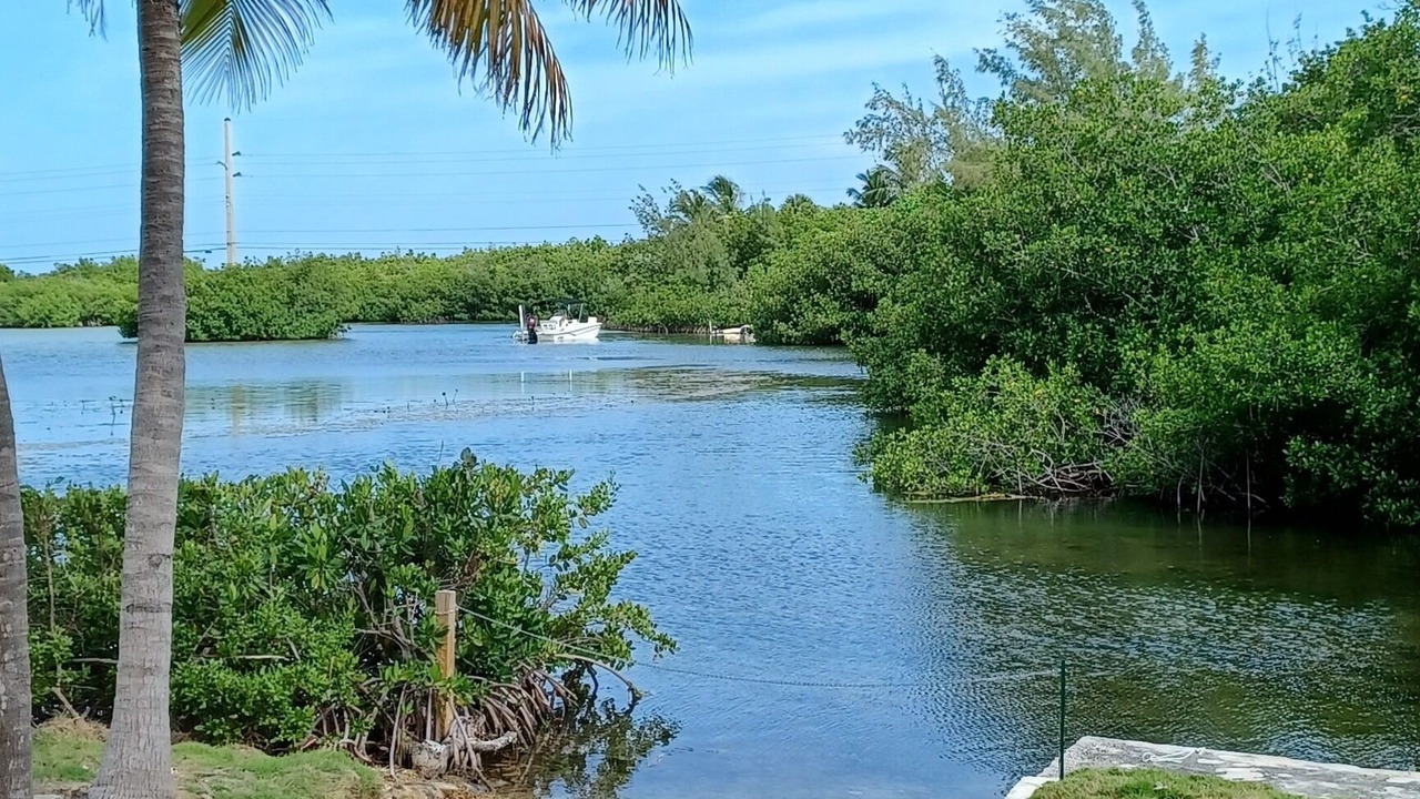 Photo of Outdoor in Bay Point