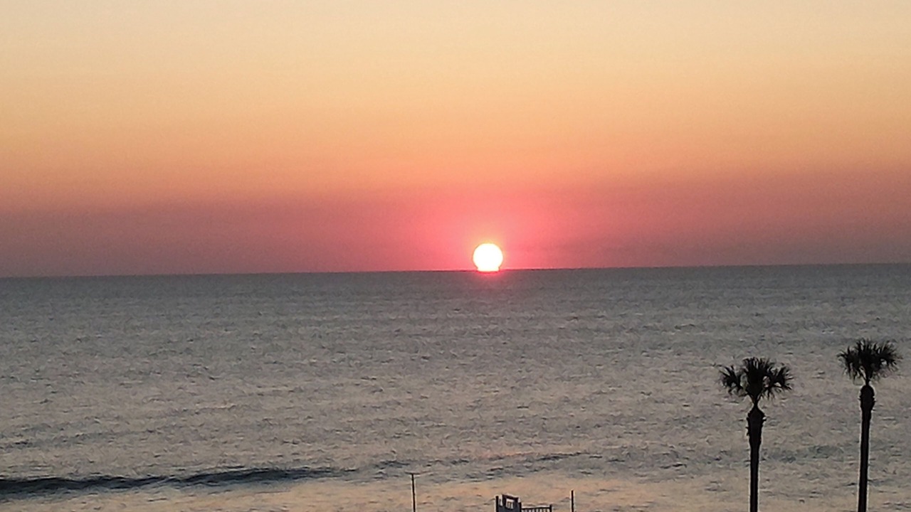 Photo of Others in Daytona Beach Shores